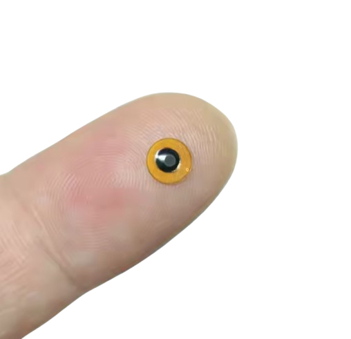 Round RFID Chips